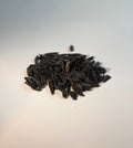 OUD BILL MUSK